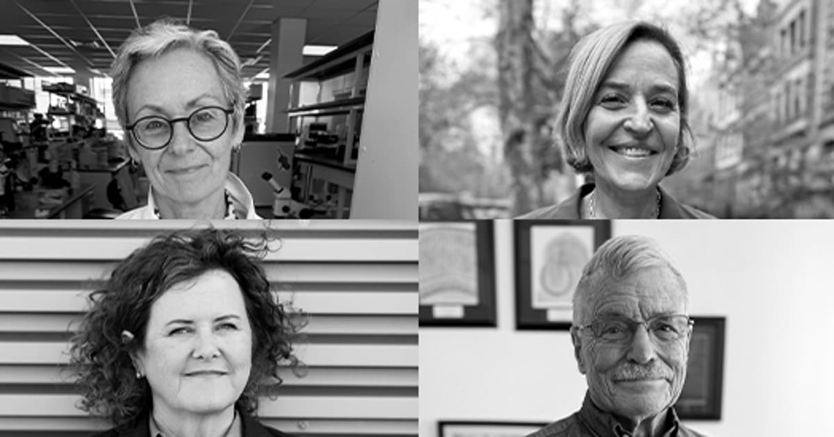 Four Protein Synthesis Pioneers Win Kavli Prize in Neuroscience