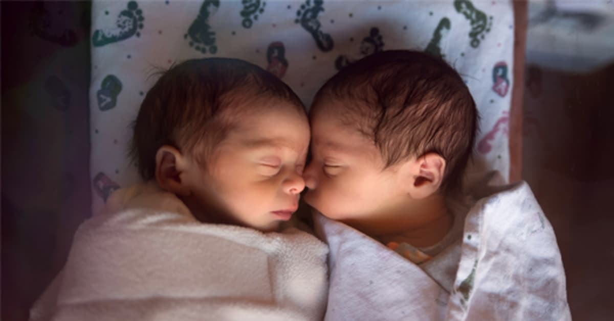 Cousin Comparison Parses Genetic Effects in Autism