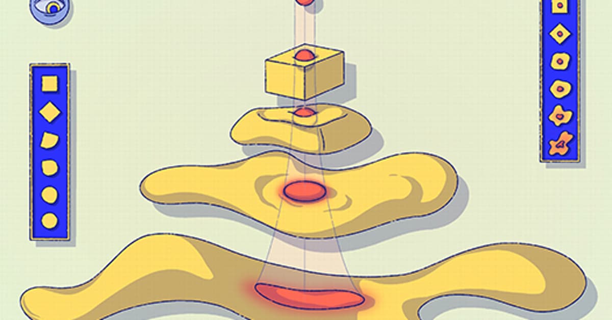 This Paper Changed My Life: Learning the Molecular Rules of Cell Identity