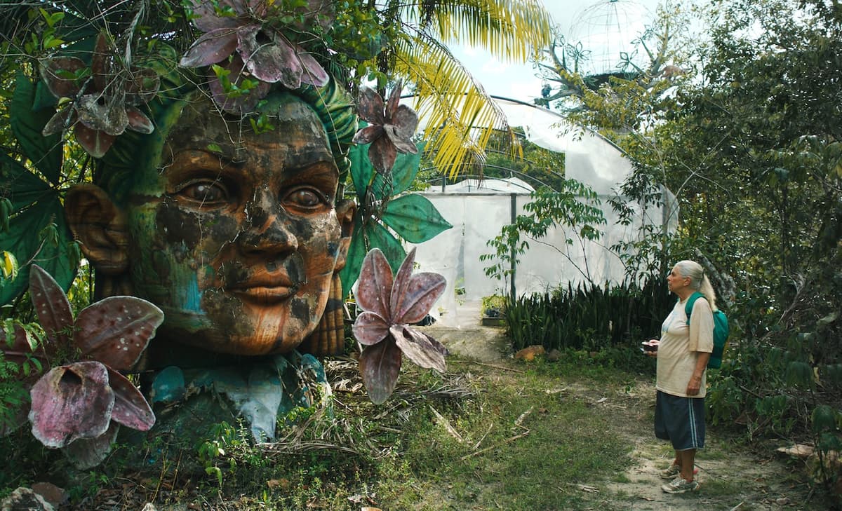 The Blue Trail | Movie Review