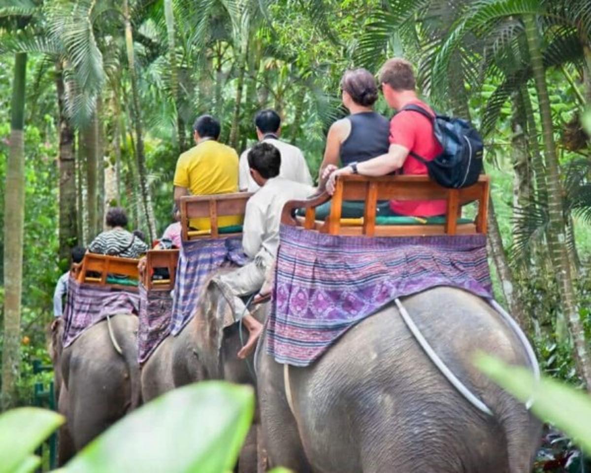 INDONESIA BECOMES FIRST COUNTRY TO NATIONWIDE BAN ELEPHANT RIDES