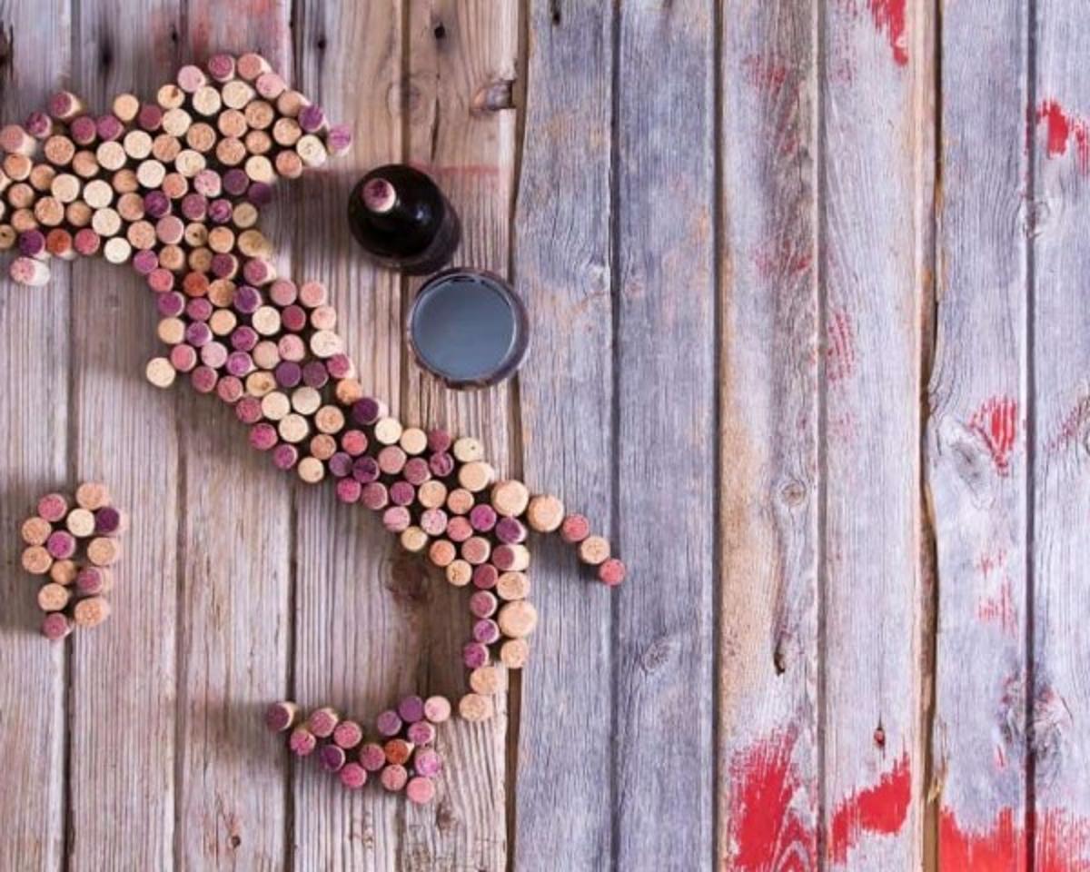 ITALIAN WINE TOURISM BOOMS BUT FACES COORDINATION AND DIGITAL CHALLENGES