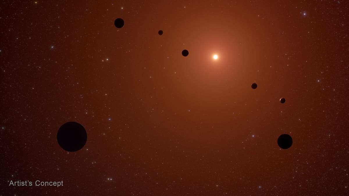 Introducing the 'Interplanetary Habitable Zone'