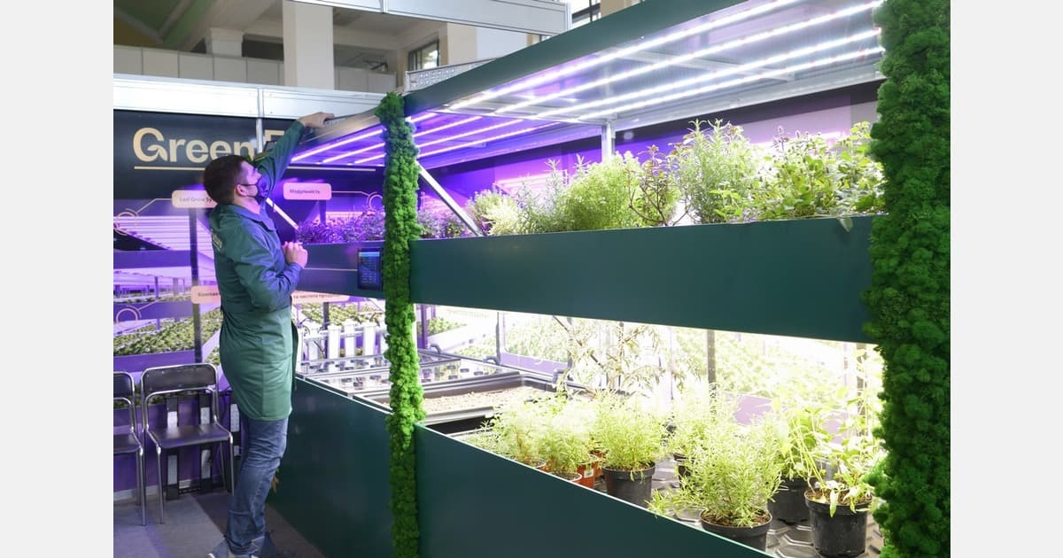 South African Inventor Reimagines Urban Farming with Hydroponic System