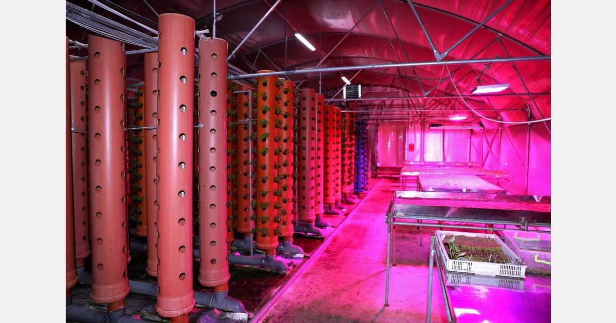 NABARD Includes Vertical Farming in Delhi's First State Credit Plan as Part of Urban Agriculture Push