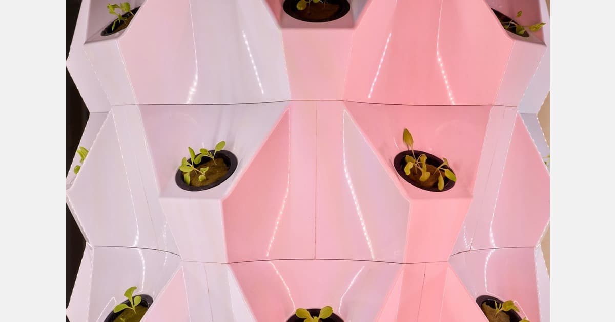 Malaysia: Hydroponics Helps to Sustain Vegetables Amidst Hot Spell