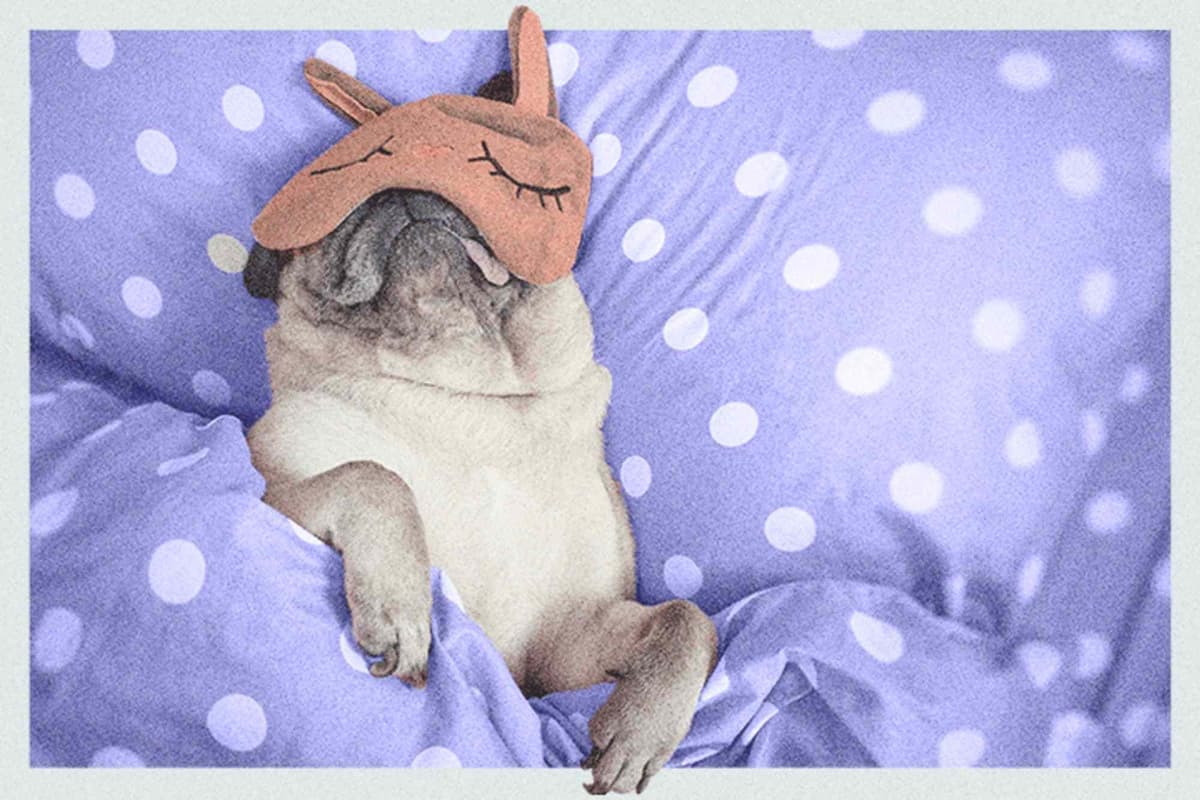 Sleep Well to Live Well