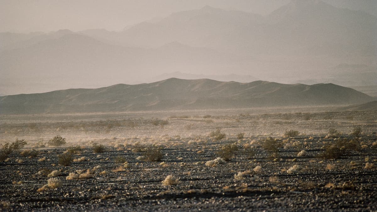 43 Years Ago Today, LA Punks Were Bused Into the Middle of the Desert for a Festival Blueprint of Burning...