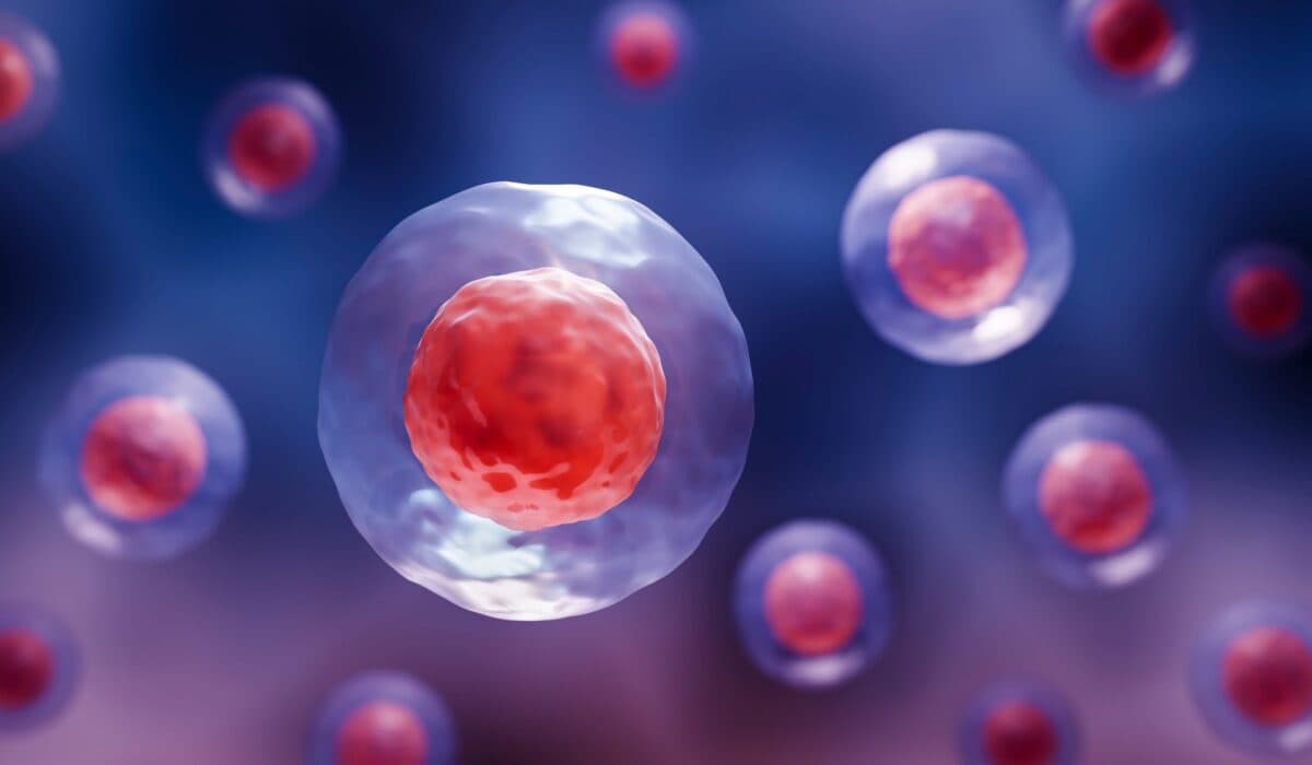Stem Cell Therapies for Degenerative Disc Disease and More with BioRestorative’s Lance Alstodt — Episode 256