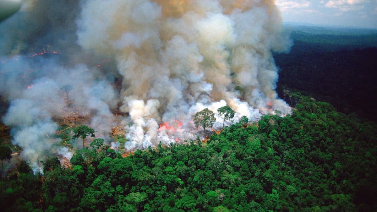 A Missing Piece in Climate Models: Nature’s Own Emissions