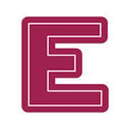 VNExpress – Companies (subset)