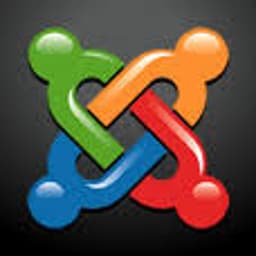 Renewable Energy Industry