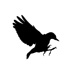 Seeing Through Film - Thomas Flight