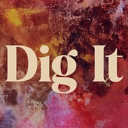 Dig It