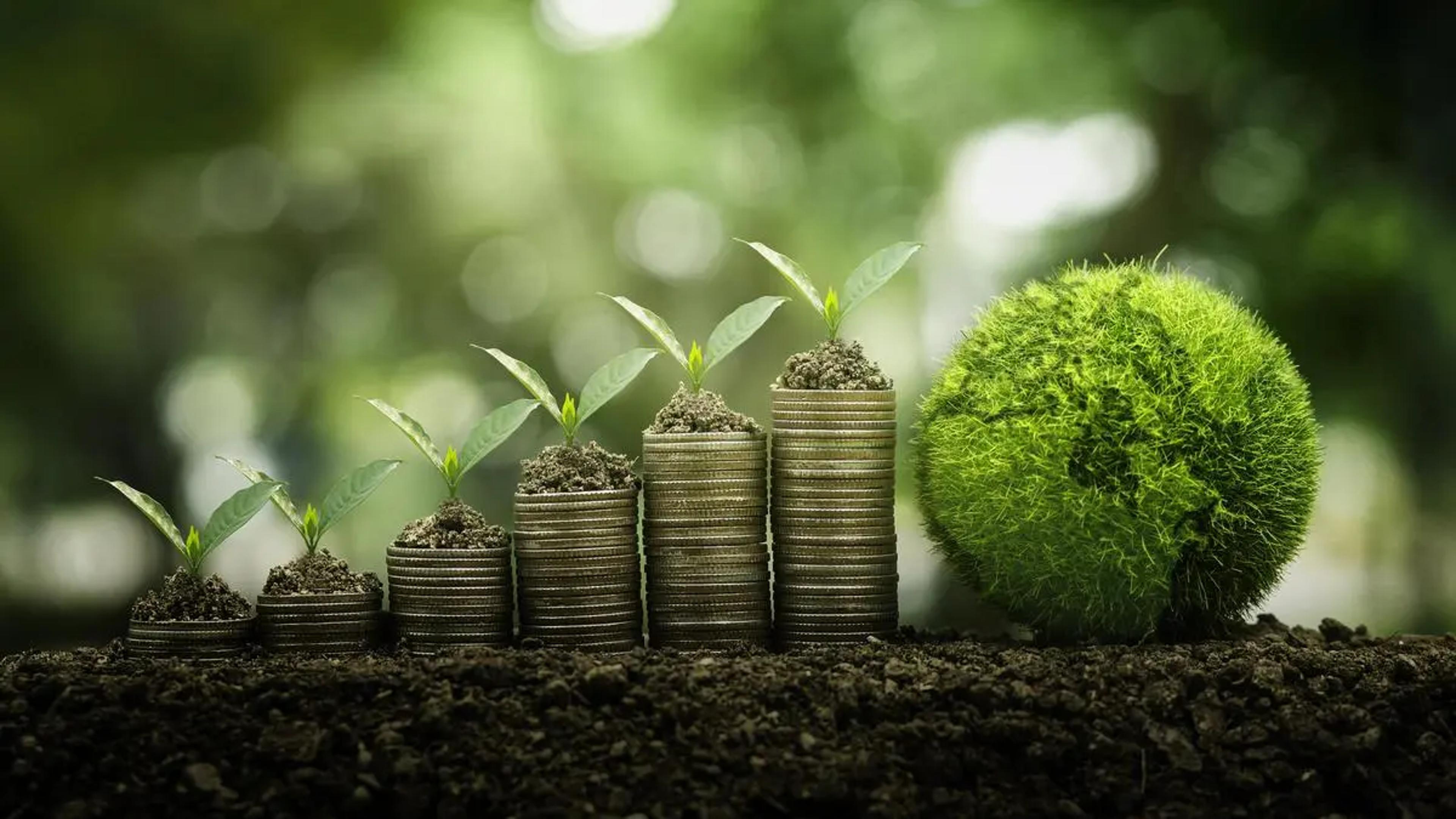 British International Investment Invests ₹43 Crore in Turno to Boost EV Battery Infrastructure