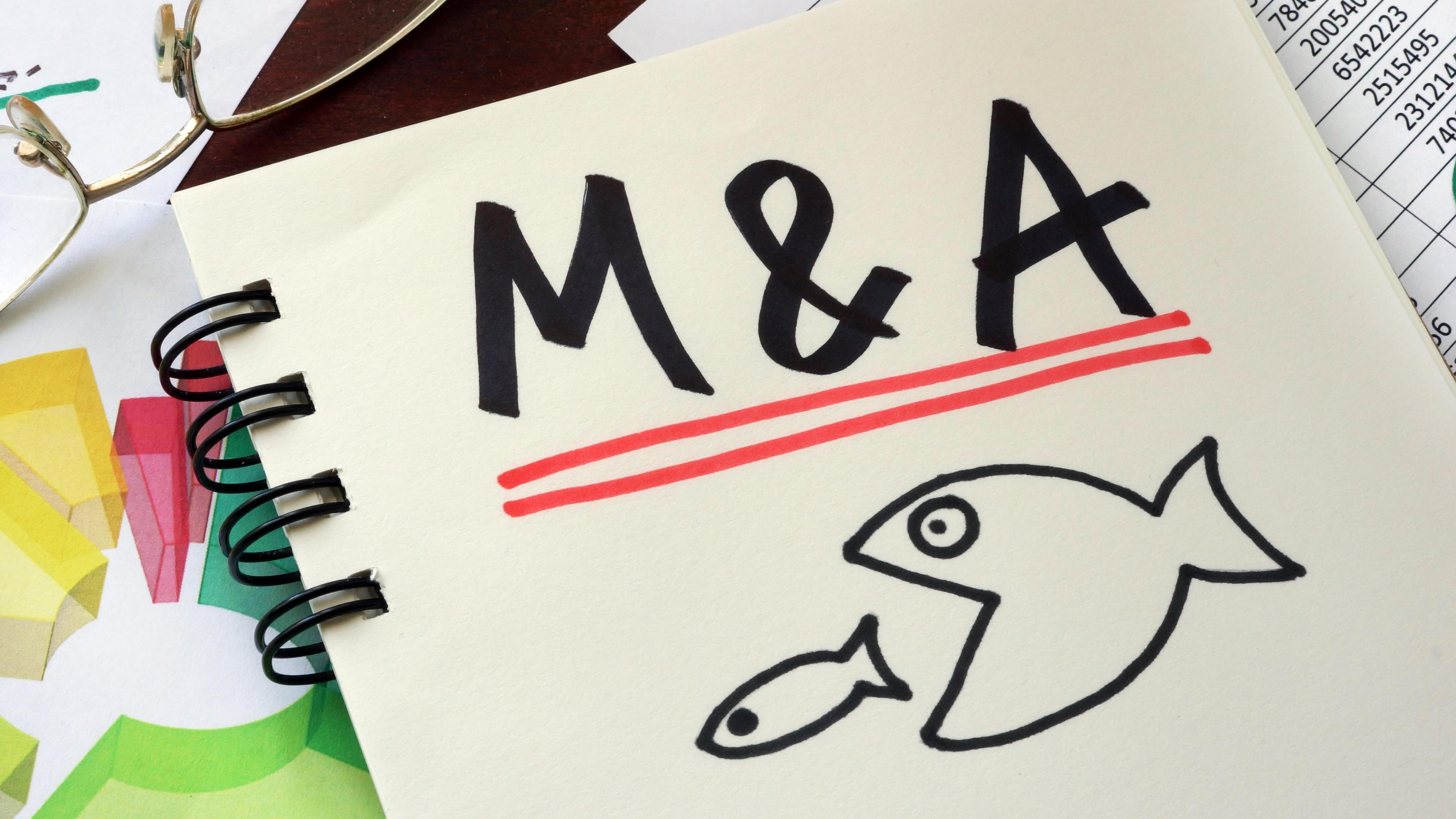 Nexfibre Acquires Netomnia for £2bn to Challenge BT Openreach