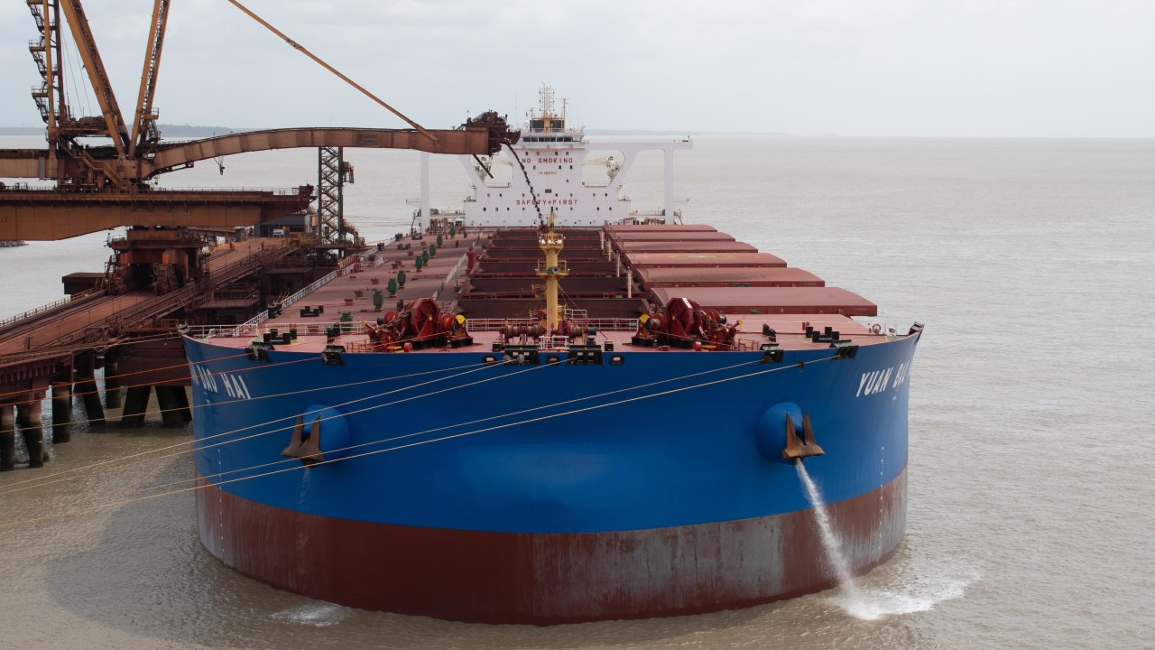 Energy Transition Underpins Dry Bulk Sector