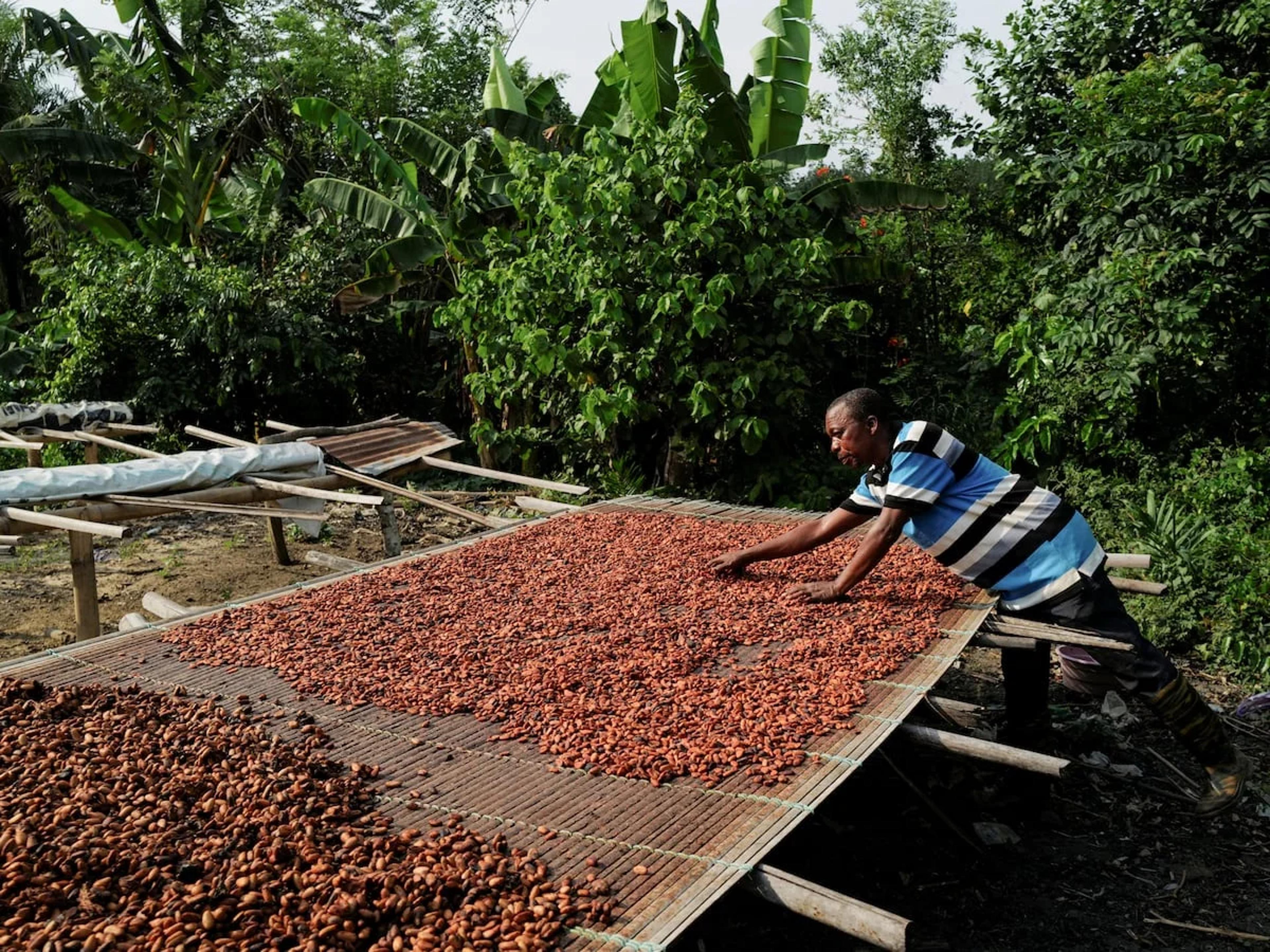 Ghana’s Unpaid Cocoa Farmers Are Forced to Go Hungry