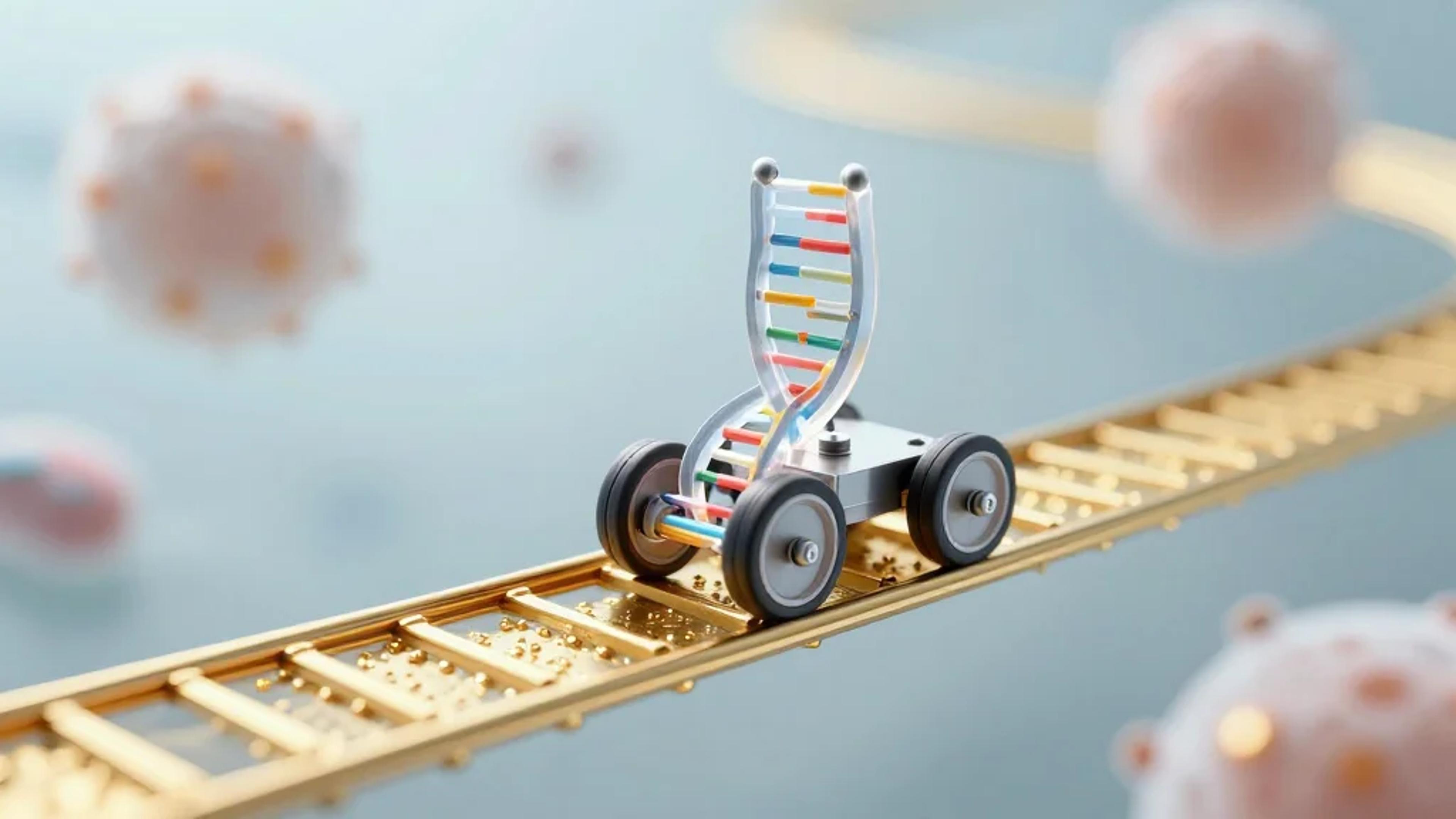 DNA Nanomachine Inside Living Cells Measures How Aggressive a Cancer Is