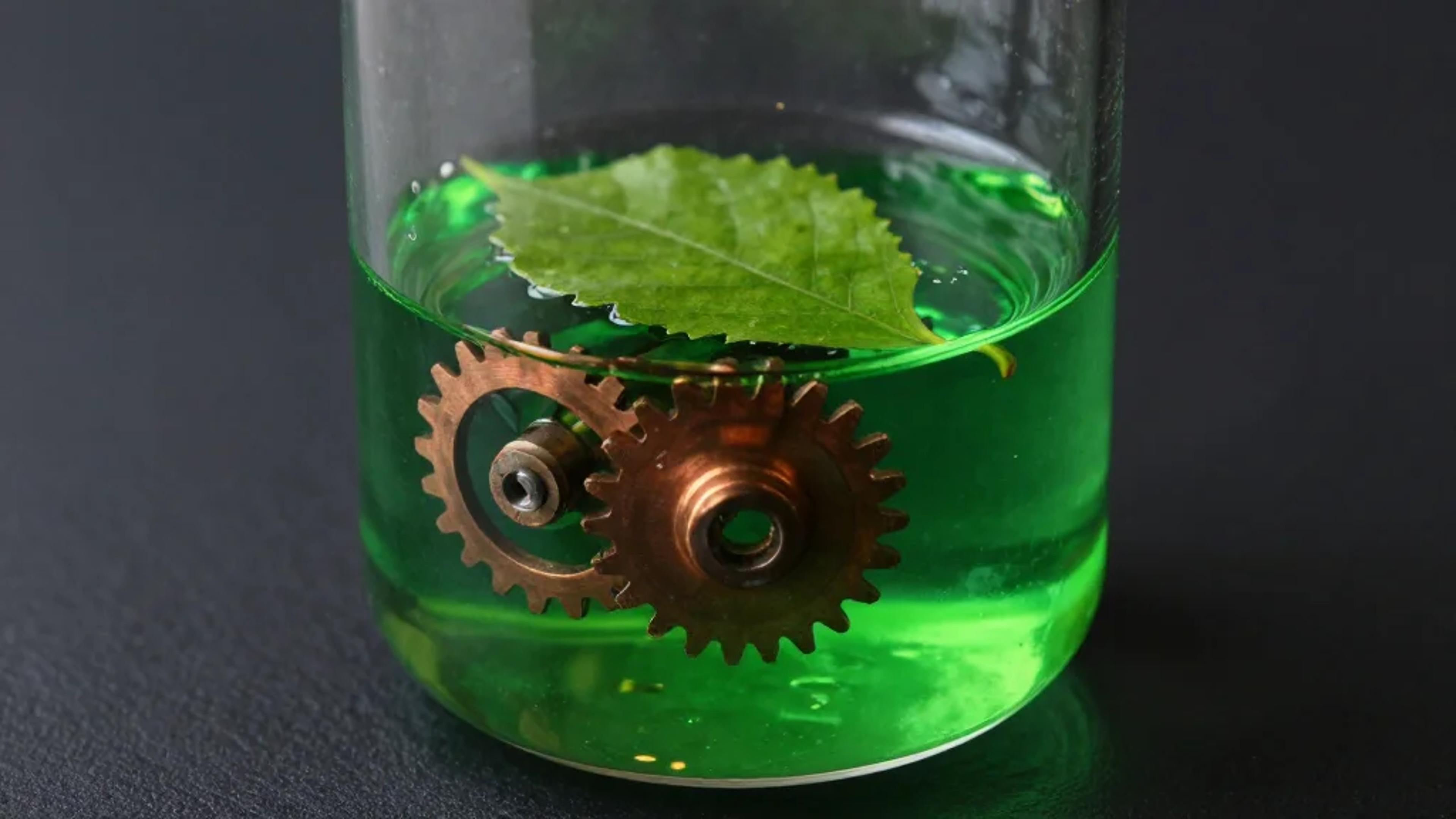 ACS Nigeria 11th Annual Symposium Focuses on Emerging Technologies and Chemistry for Sustainable Development