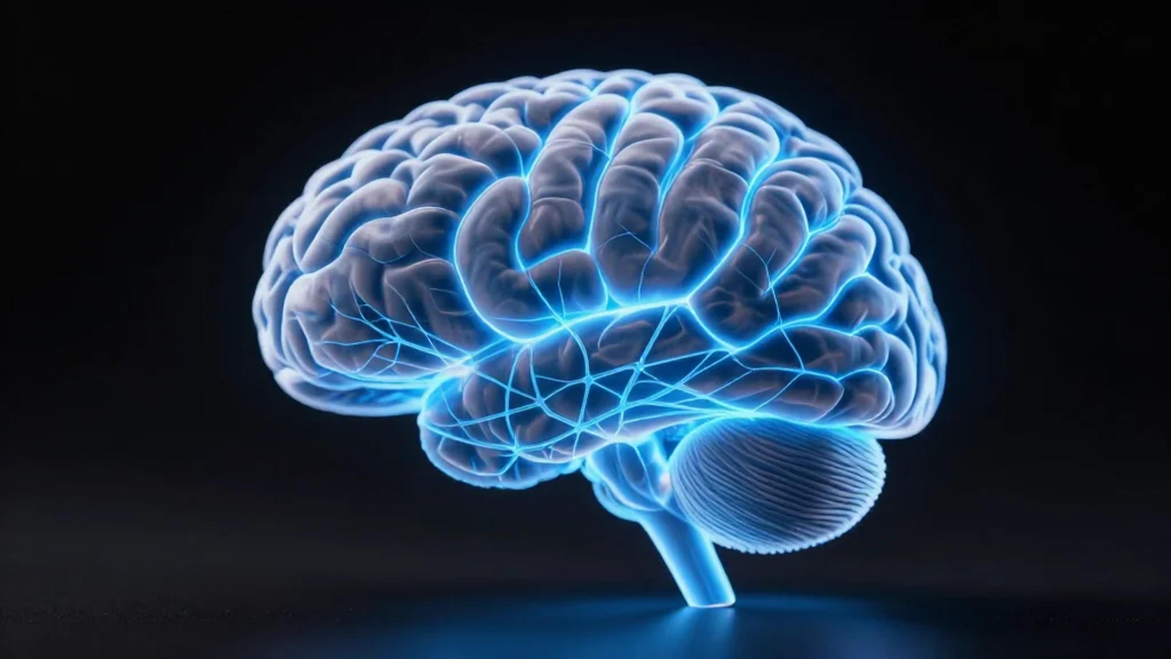 Chief AI Officer Alex Deer Speaks at India AI Summit