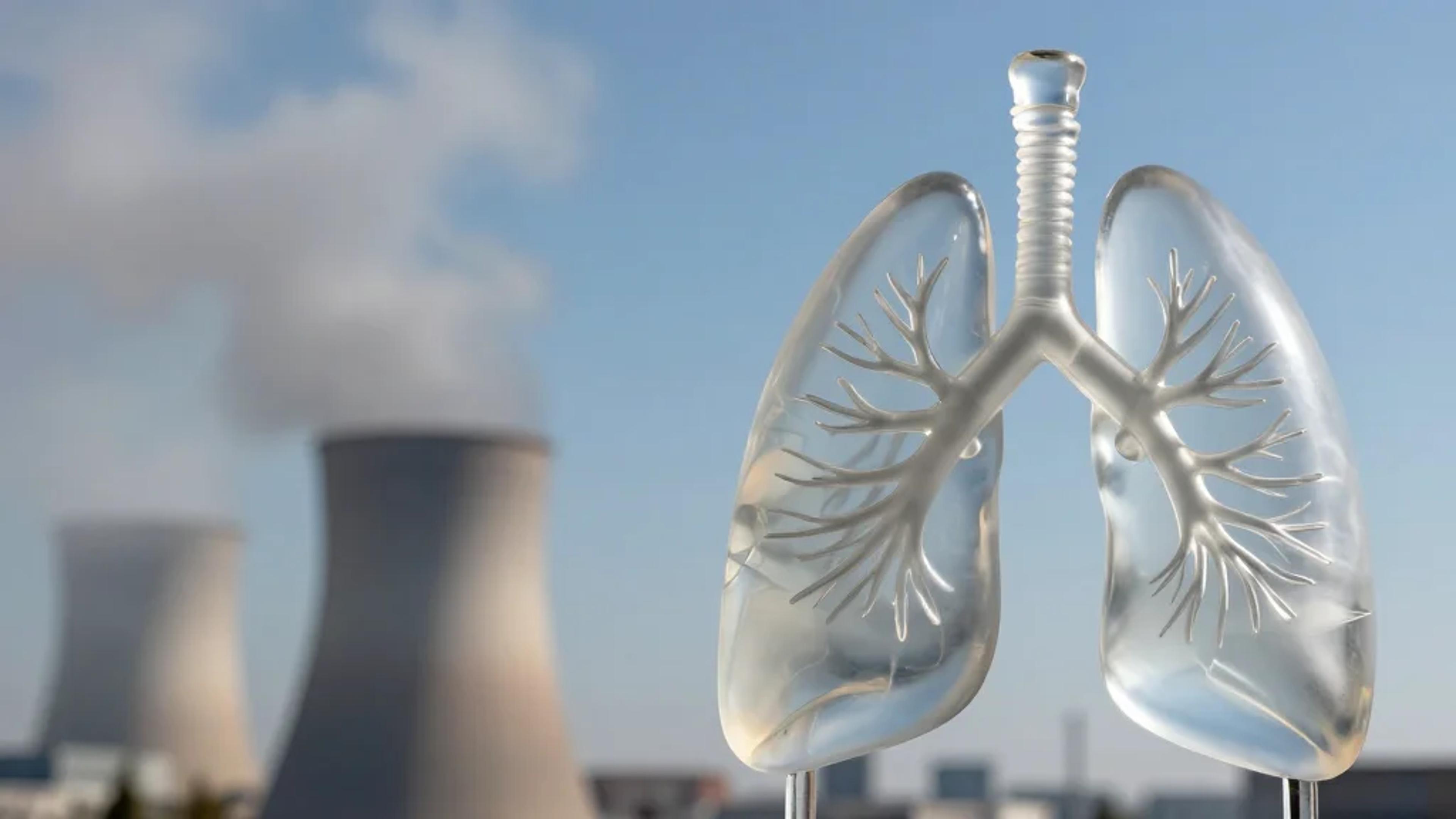 Fossil Fuels Drive 10 Million Premature Deaths Annually