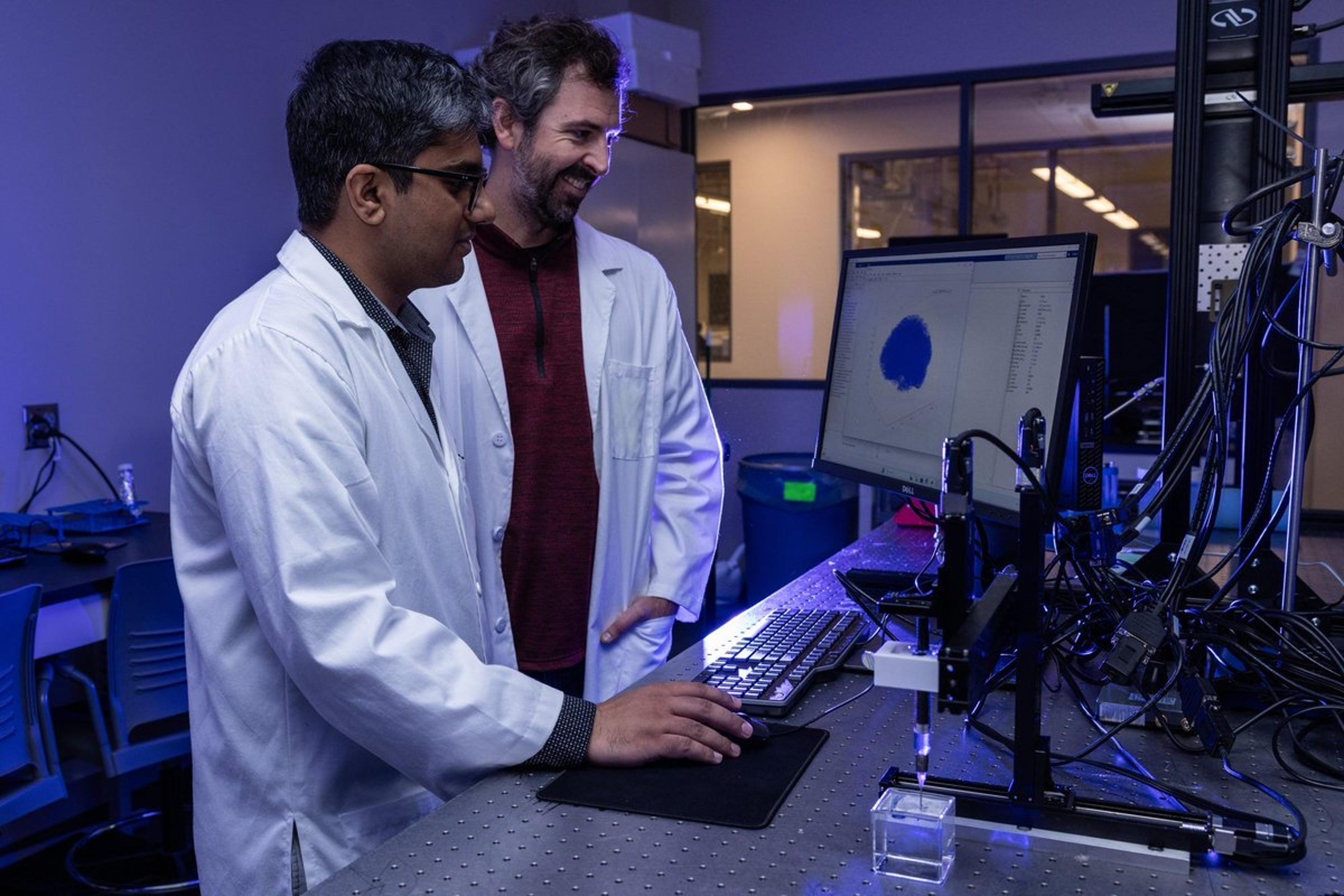 3D‑Printed Brain Phantoms Replicate Gray and White Matter