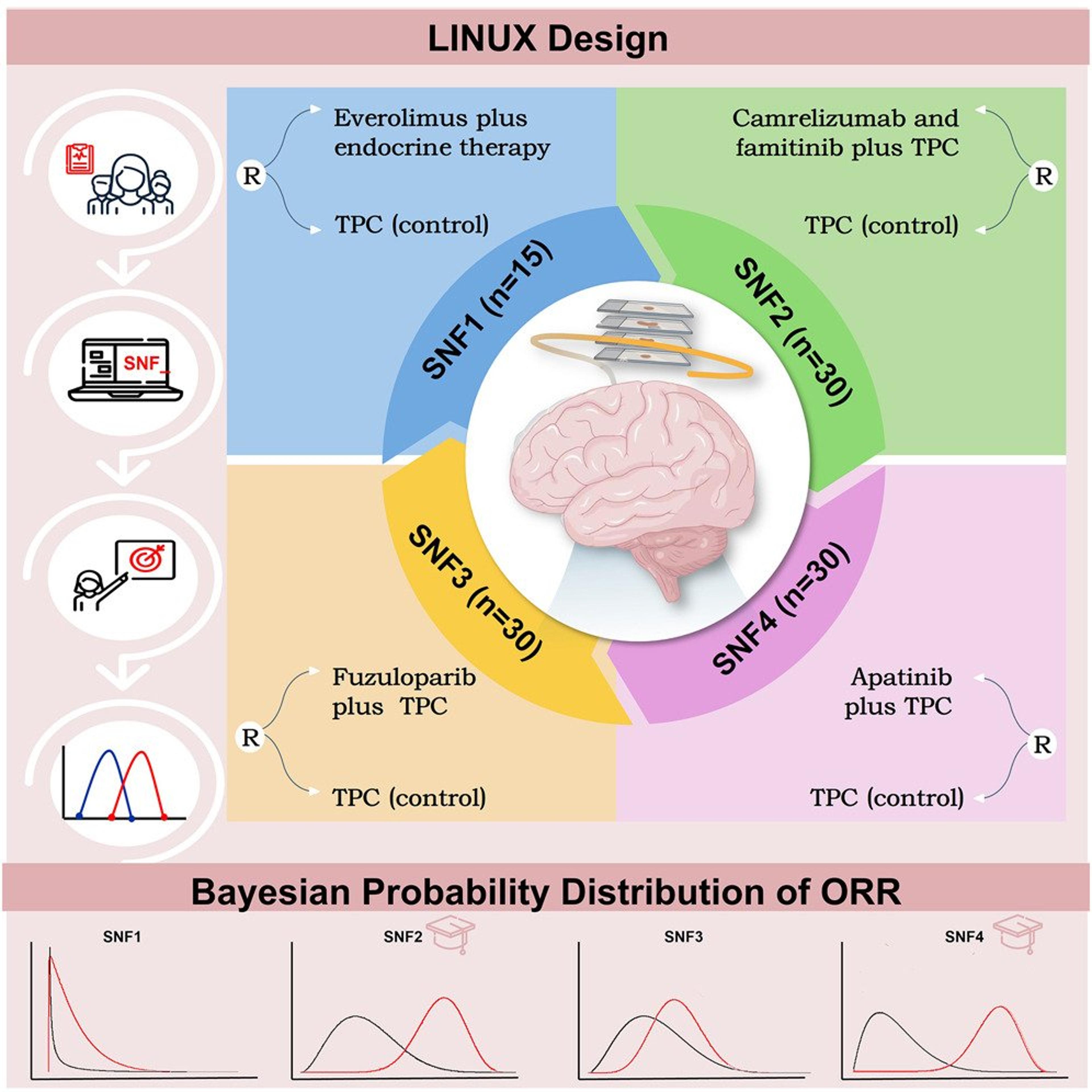 AI Subtyping Boosts HR+/HER2‑ Breast Cancer Therapy