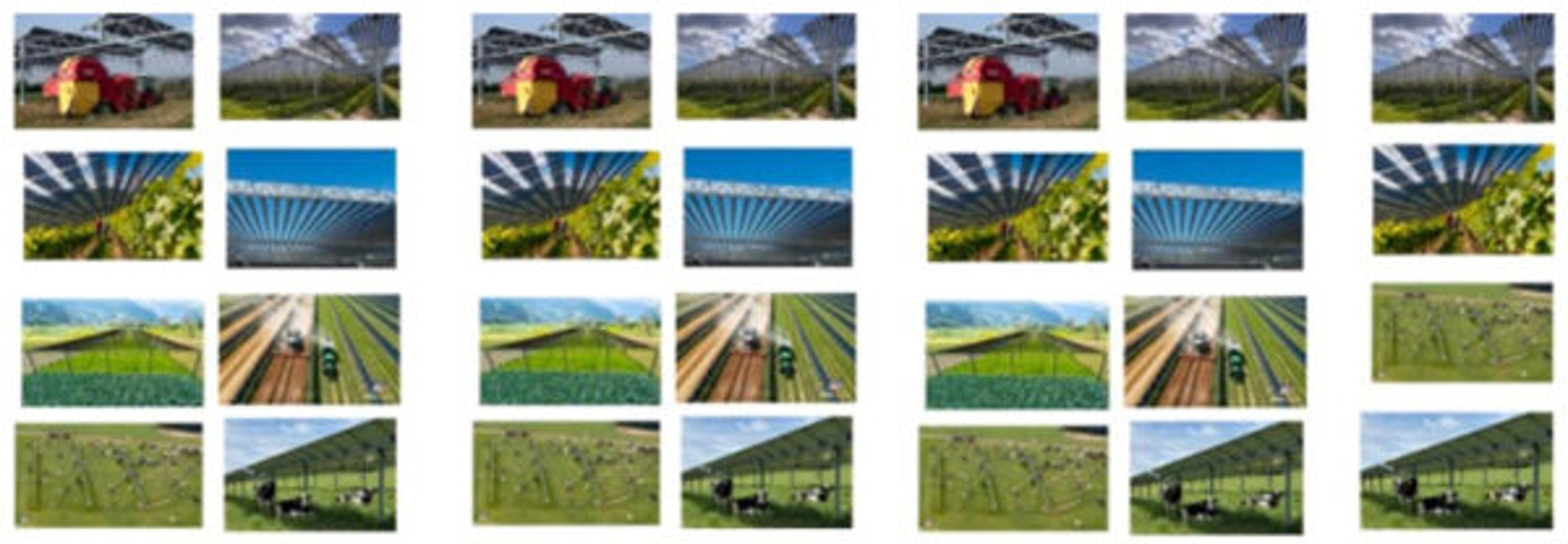 Land Slope Crucial for Agrivoltaics Feasibility