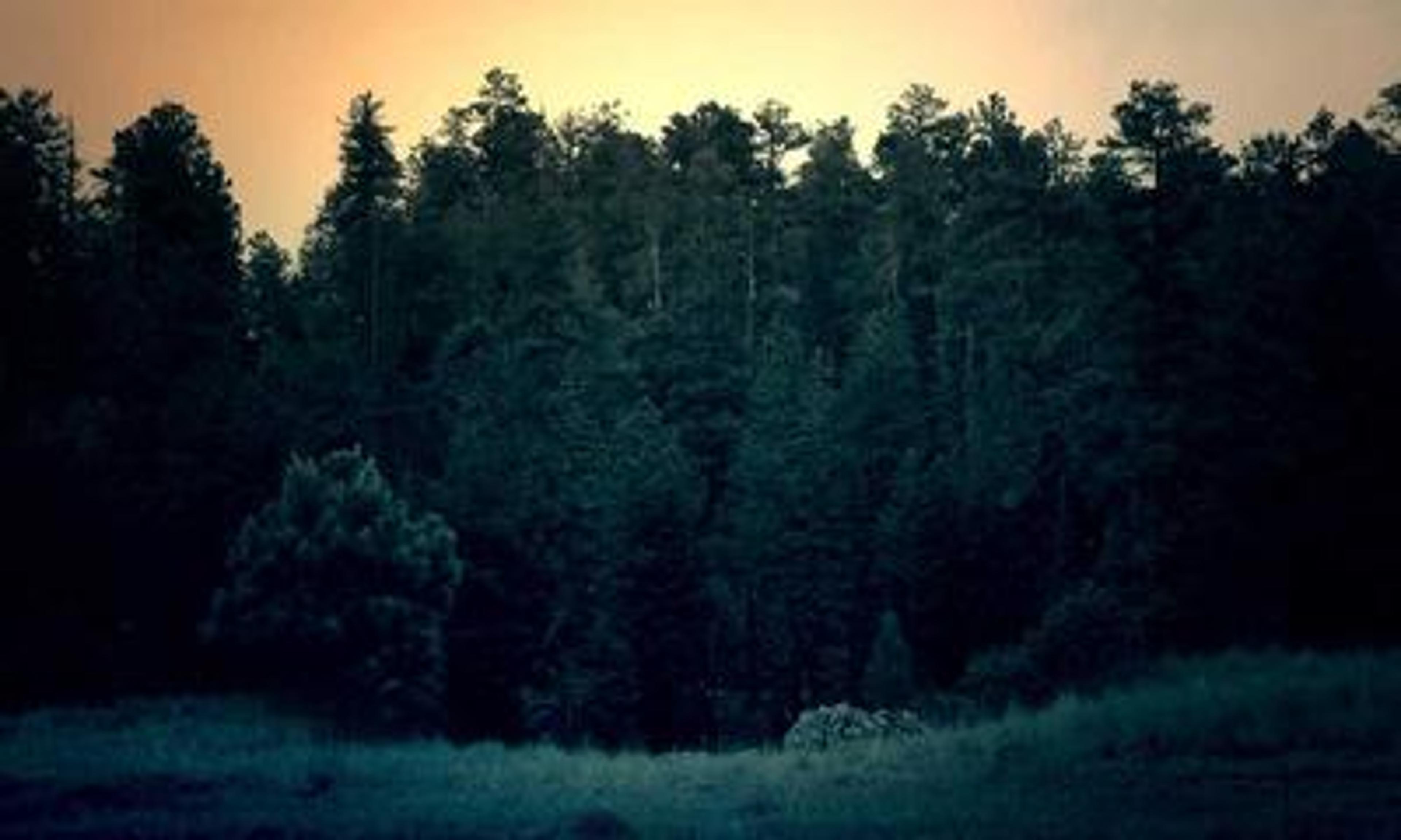 Top Story in Cio Pulse