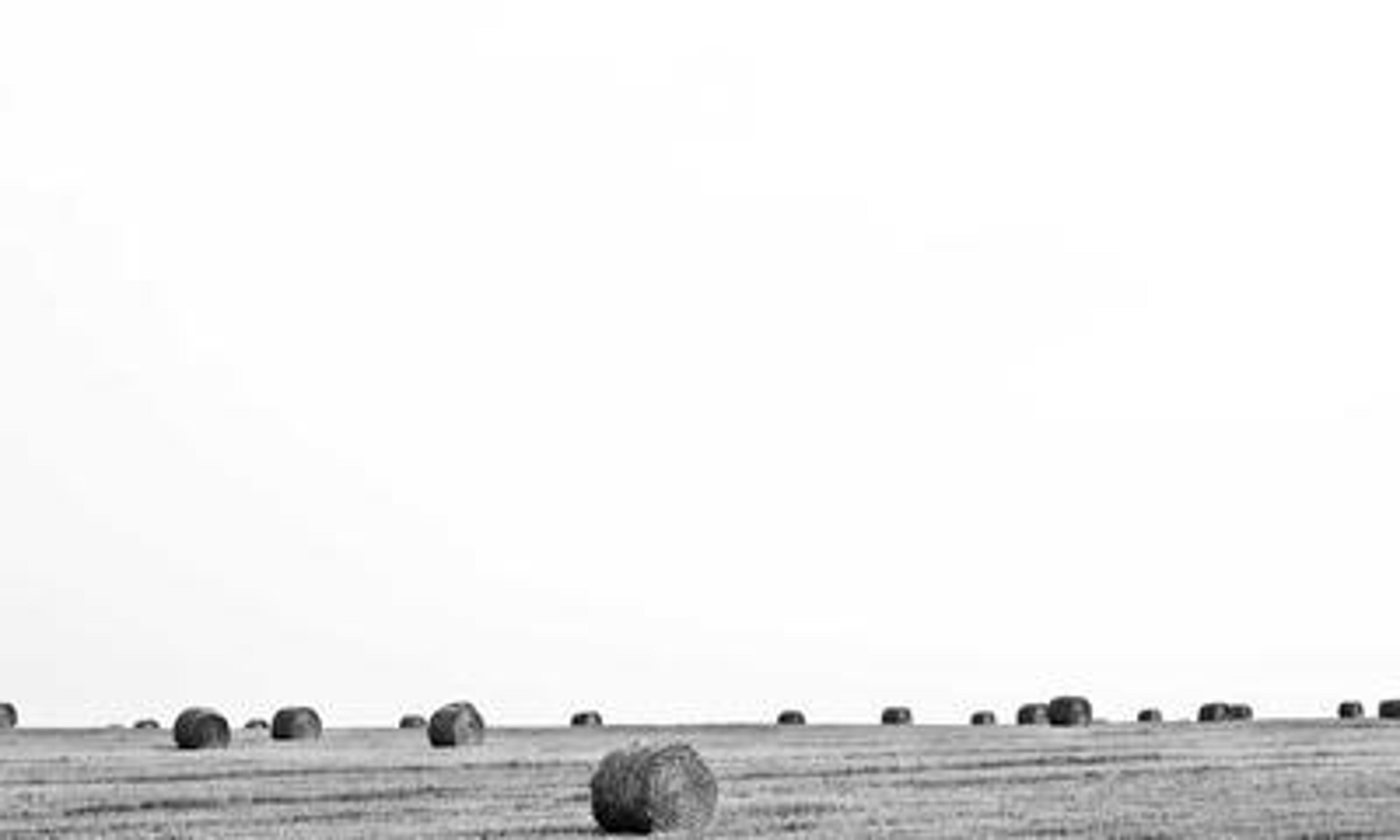 Top Story in Cto Pulse