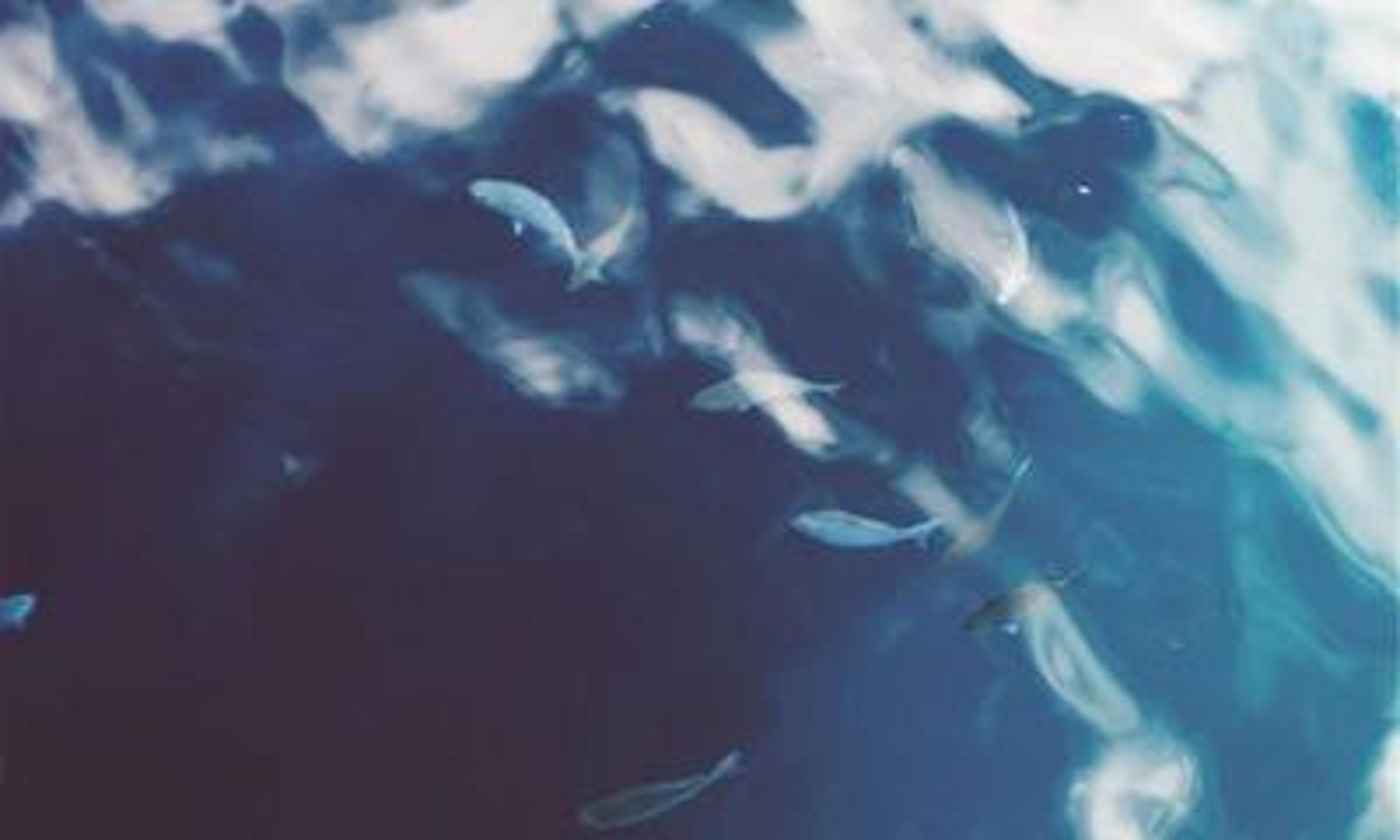 Top Story in Legaltech