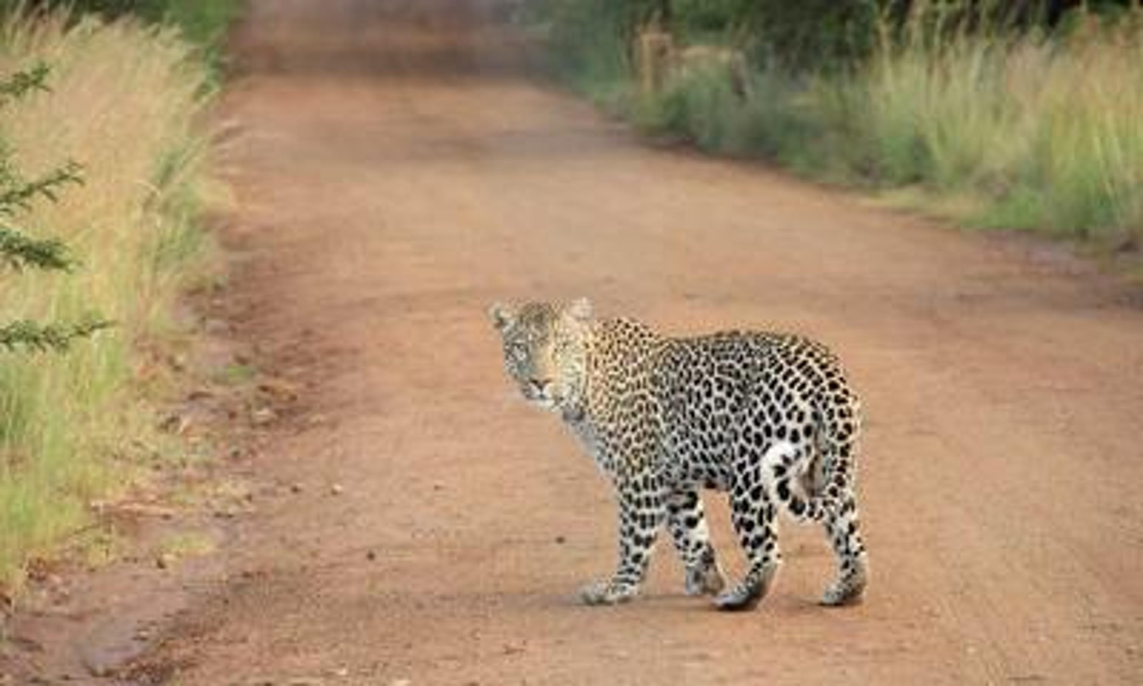 Top Story in Proptech