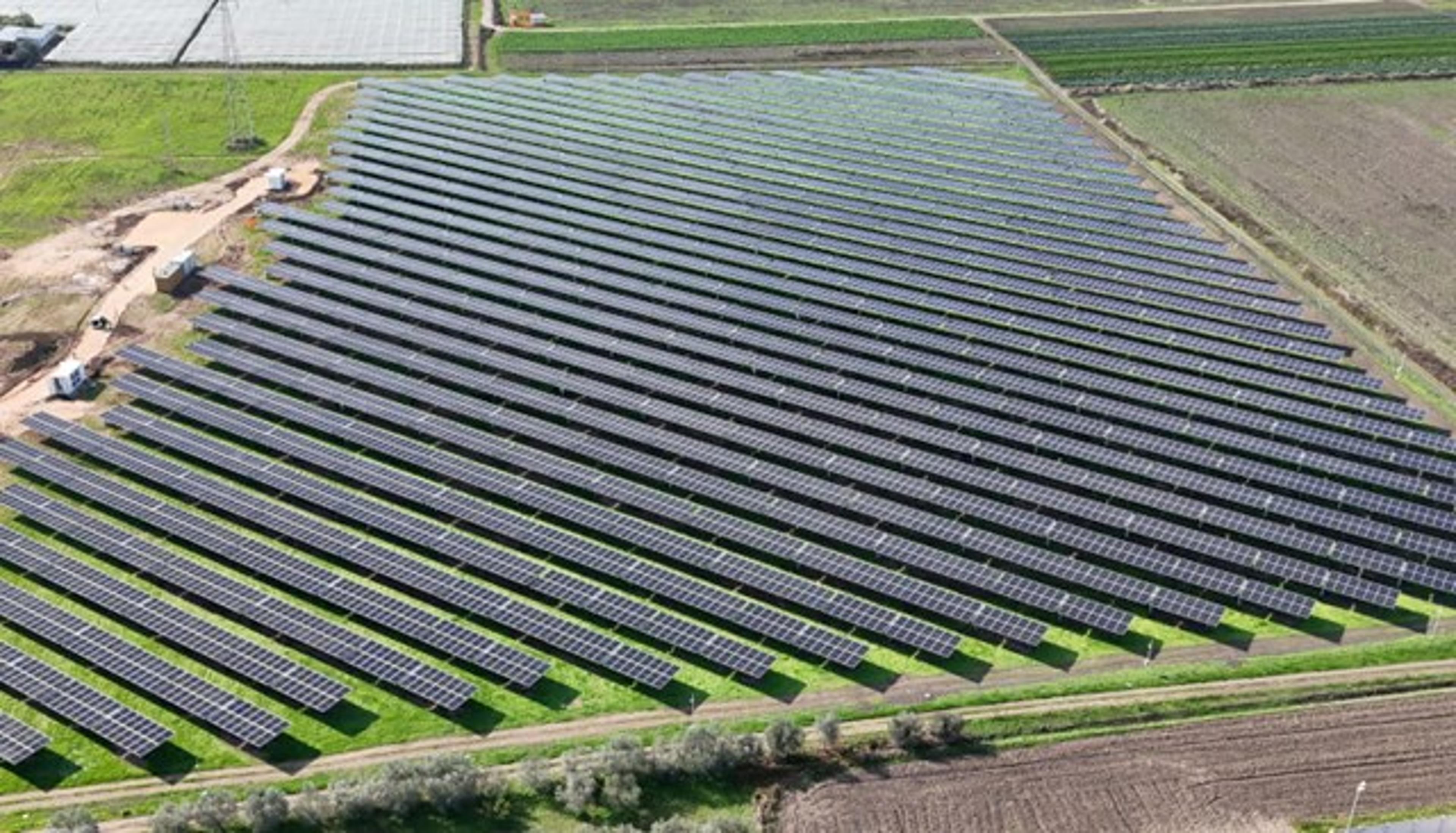 Zelestra Starts 9.5MW Sicilian Agrivoltaic