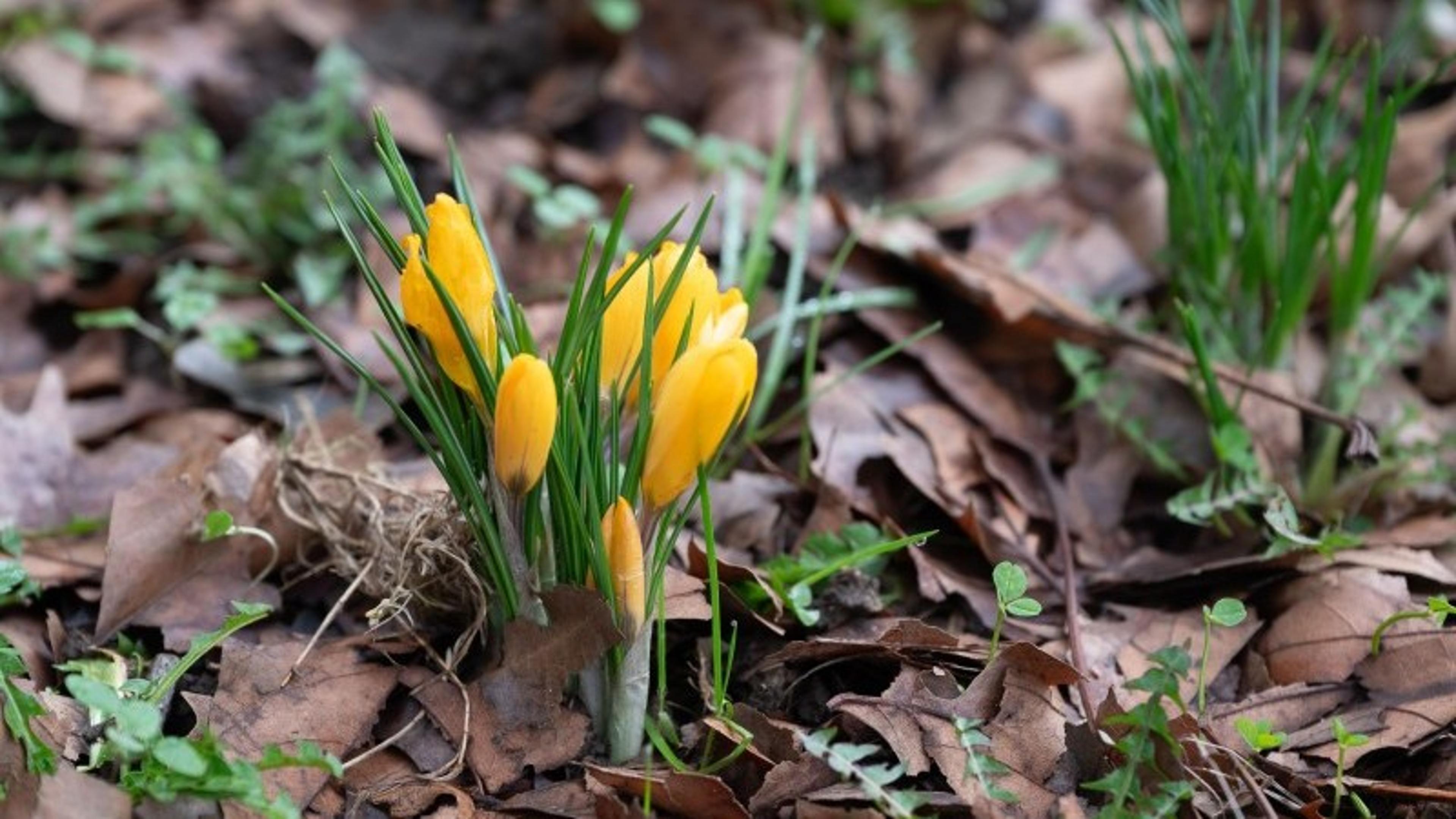 THINK Ahead: Green Shoots or Just Weeds? What This Week’s Data Signals