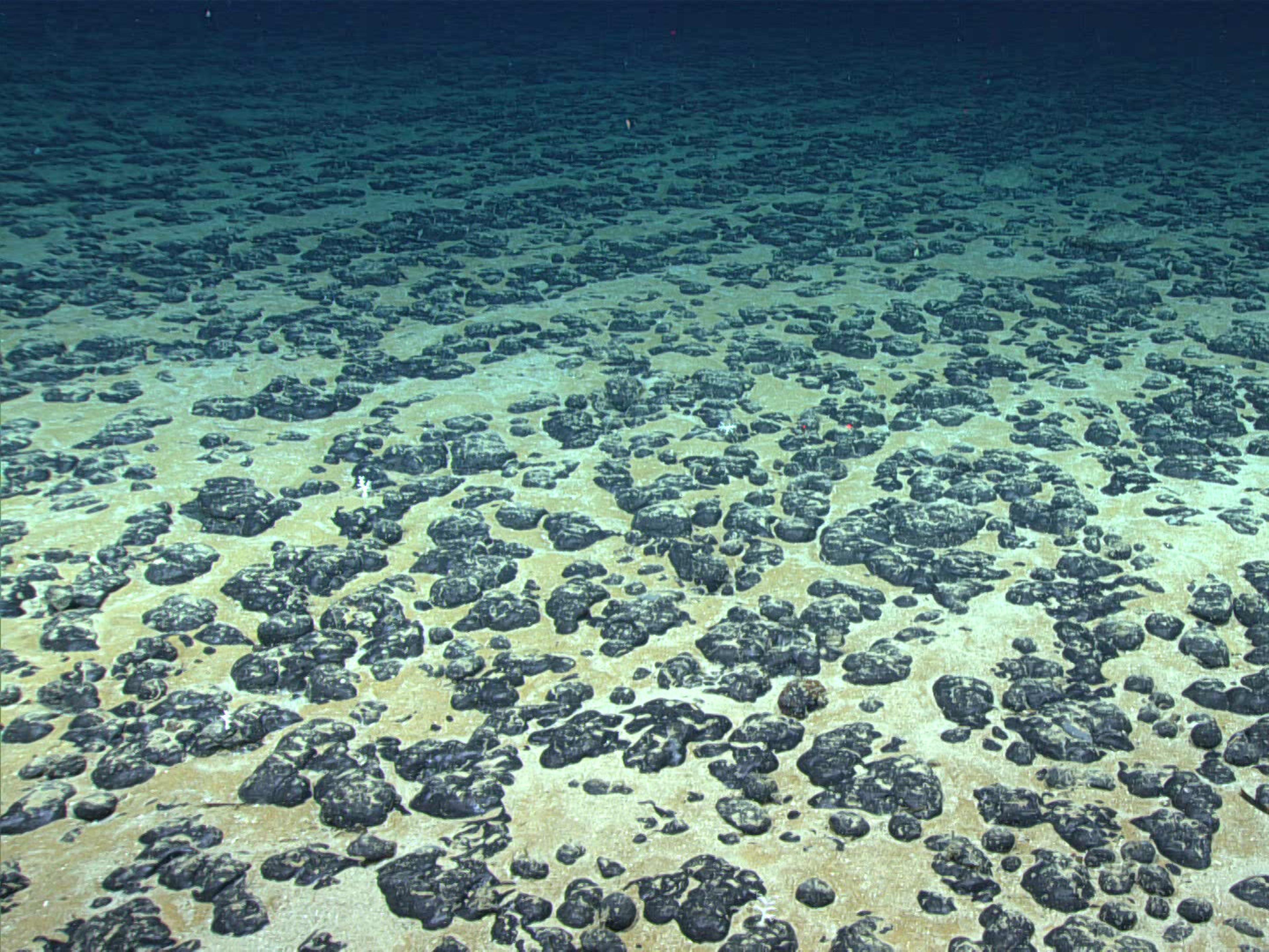 Mining without Rules: The Risky US Bet on the Deep Sea