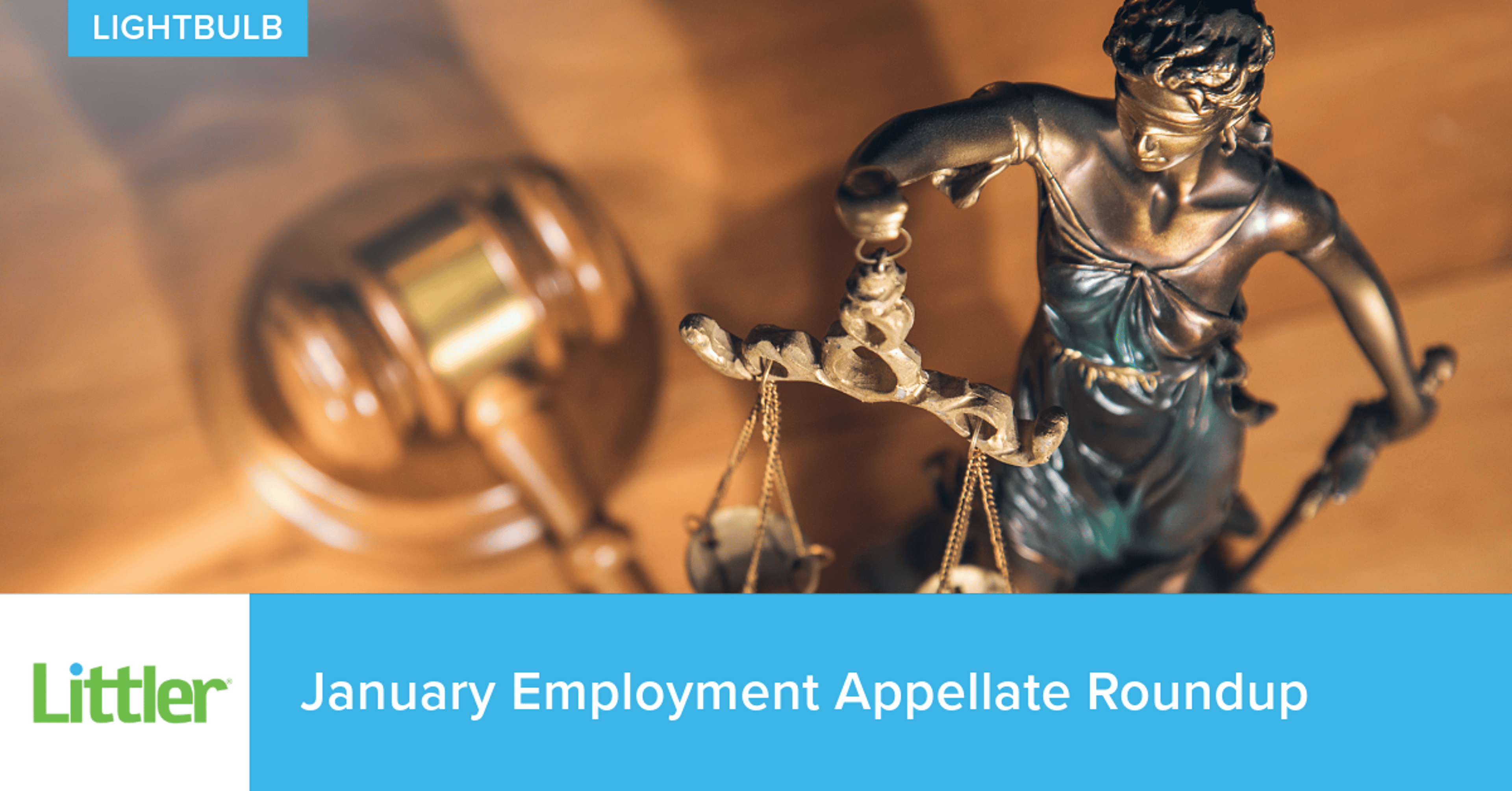 Littler Lightbulb – January 2026 Appellate Roundup
