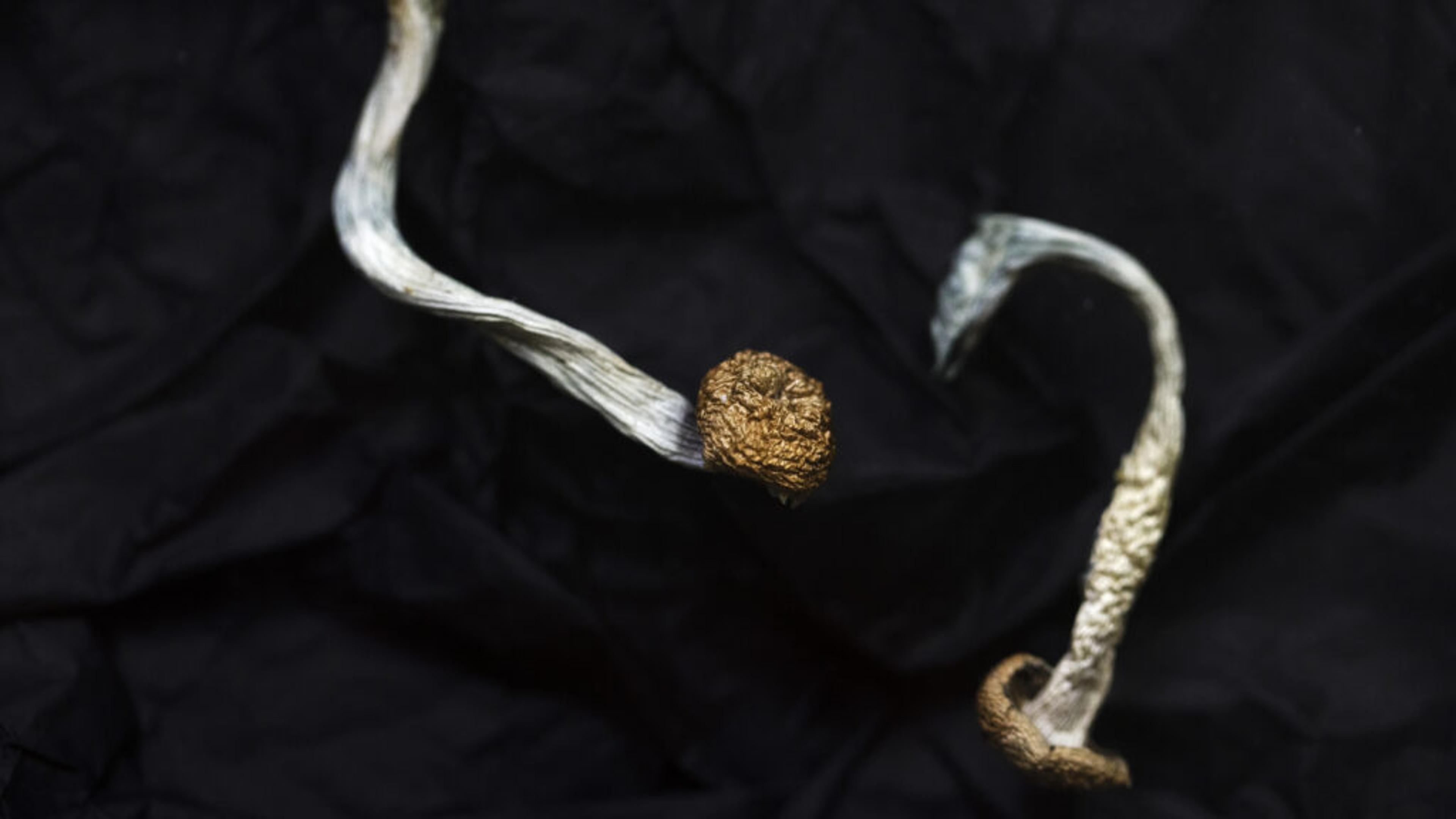 STAT+: Compass Says Its Psilocybin Drug Helped Patients with Severe Depression in Two Trials