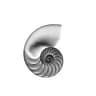 Nautilus
