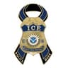 U.S. Immigration and Customs Enforcement